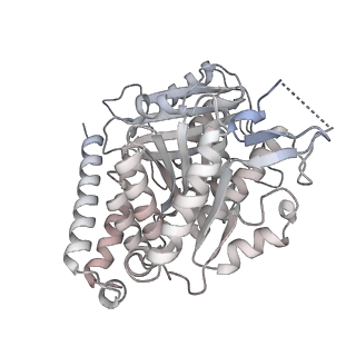 24191_7n61_4b_v1-1
structure of C2 projections and MIPs