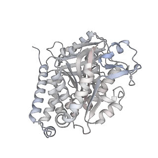 24191_7n61_4c_v1-1
structure of C2 projections and MIPs