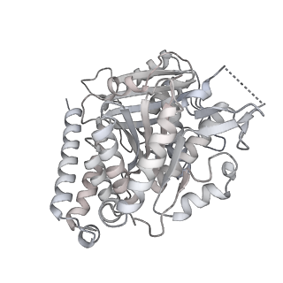 24191_7n61_4d_v1-1
structure of C2 projections and MIPs