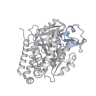24191_7n61_4e_v1-1
structure of C2 projections and MIPs