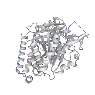 24191_7n61_4f_v1-1
structure of C2 projections and MIPs