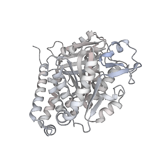 24191_7n61_4g_v1-1
structure of C2 projections and MIPs