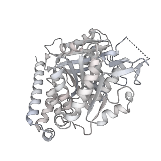 24191_7n61_4h_v1-1
structure of C2 projections and MIPs