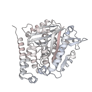 24191_7n61_5a_v1-1
structure of C2 projections and MIPs