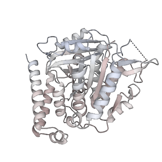 24191_7n61_5b_v1-1
structure of C2 projections and MIPs