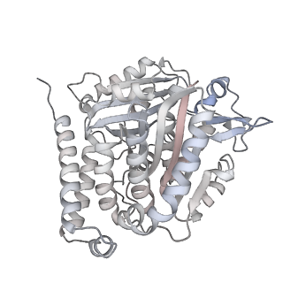24191_7n61_5c_v1-1
structure of C2 projections and MIPs