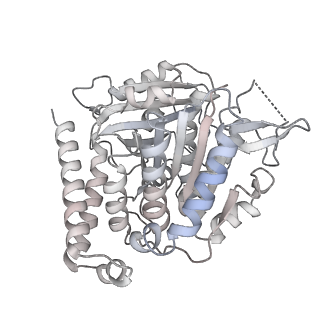 24191_7n61_5d_v1-1
structure of C2 projections and MIPs