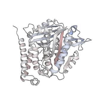 24191_7n61_5e_v1-1
structure of C2 projections and MIPs