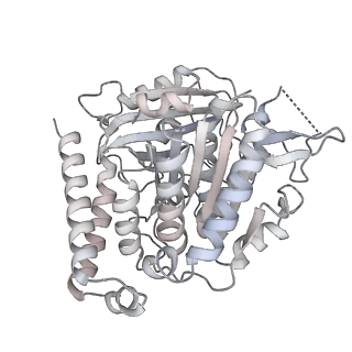 24191_7n61_5f_v1-1
structure of C2 projections and MIPs