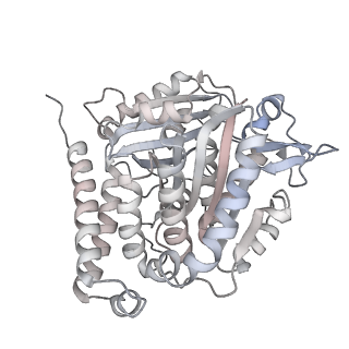 24191_7n61_5g_v1-1
structure of C2 projections and MIPs