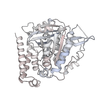 24191_7n61_5h_v1-1
structure of C2 projections and MIPs