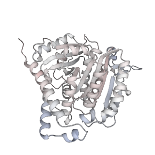 24191_7n61_6a_v1-1
structure of C2 projections and MIPs