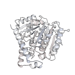 24191_7n61_6d_v1-1
structure of C2 projections and MIPs