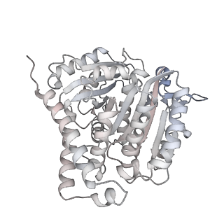 24191_7n61_6e_v1-1
structure of C2 projections and MIPs