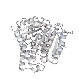 24191_7n61_6h_v1-1
structure of C2 projections and MIPs