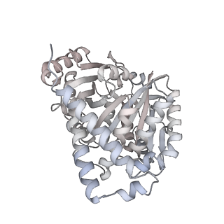 24191_7n61_7a_v1-1
structure of C2 projections and MIPs