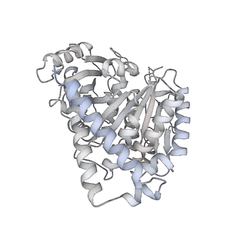 24191_7n61_7d_v1-1
structure of C2 projections and MIPs