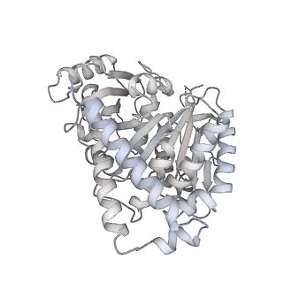 24191_7n61_7h_v1-1
structure of C2 projections and MIPs