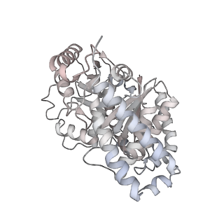 24191_7n61_8a_v1-1
structure of C2 projections and MIPs