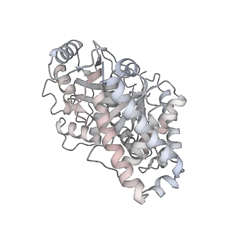 24191_7n61_8b_v1-1
structure of C2 projections and MIPs