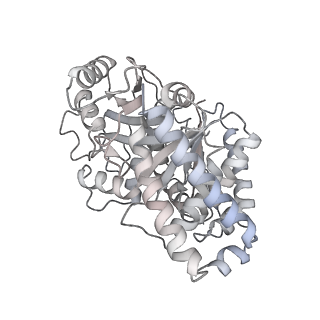 24191_7n61_8d_v1-1
structure of C2 projections and MIPs
