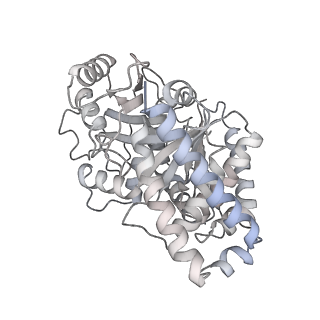 24191_7n61_8f_v1-1
structure of C2 projections and MIPs