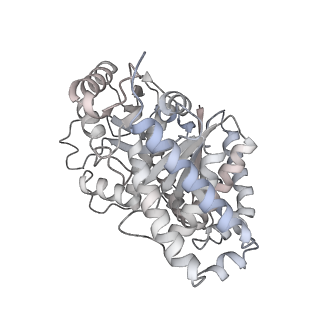 24191_7n61_8g_v1-1
structure of C2 projections and MIPs