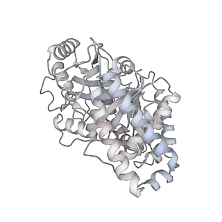 24191_7n61_8h_v1-1
structure of C2 projections and MIPs