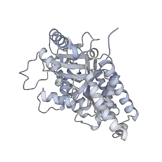 24191_7n61_9a_v1-1
structure of C2 projections and MIPs