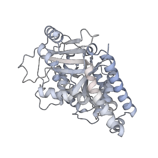 24191_7n61_9b_v1-1
structure of C2 projections and MIPs