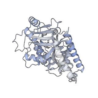 24191_7n61_9d_v1-1
structure of C2 projections and MIPs
