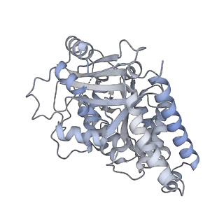 24191_7n61_9h_v1-1
structure of C2 projections and MIPs