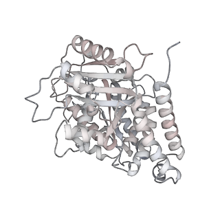 24191_7n61_Aa_v1-1
structure of C2 projections and MIPs