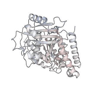 24191_7n61_Ab_v1-1
structure of C2 projections and MIPs