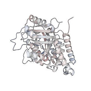 24191_7n61_Ac_v1-1
structure of C2 projections and MIPs
