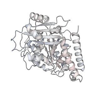 24191_7n61_Ad_v1-1
structure of C2 projections and MIPs