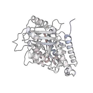 24191_7n61_Ae_v1-1
structure of C2 projections and MIPs