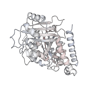 24191_7n61_Af_v1-1
structure of C2 projections and MIPs
