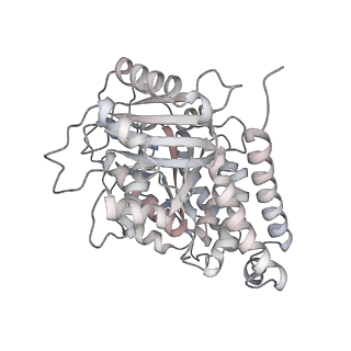 24191_7n61_Ag_v1-1
structure of C2 projections and MIPs
