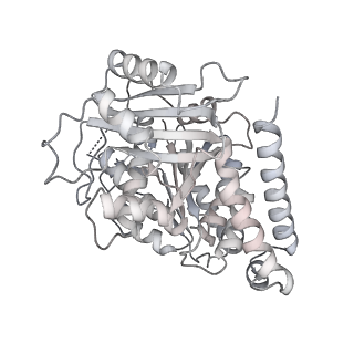 24191_7n61_Ah_v1-1
structure of C2 projections and MIPs