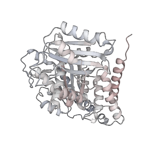 24191_7n61_Ba_v1-1
structure of C2 projections and MIPs