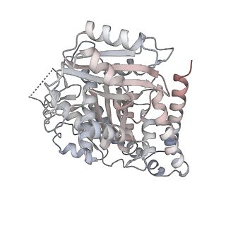 24191_7n61_Bb_v1-1
structure of C2 projections and MIPs