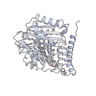 24191_7n61_Bc_v1-1
structure of C2 projections and MIPs
