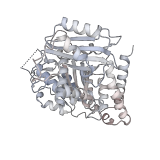 24191_7n61_Bd_v1-1
structure of C2 projections and MIPs