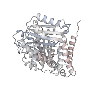 24191_7n61_Be_v1-1
structure of C2 projections and MIPs