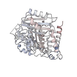 24191_7n61_Bf_v1-1
structure of C2 projections and MIPs