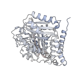 24191_7n61_Bg_v1-1
structure of C2 projections and MIPs