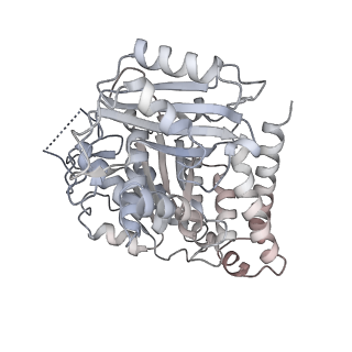 24191_7n61_Bh_v1-1
structure of C2 projections and MIPs
