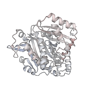 24191_7n61_Ca_v1-1
structure of C2 projections and MIPs