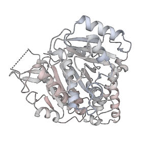 24191_7n61_Cb_v1-1
structure of C2 projections and MIPs